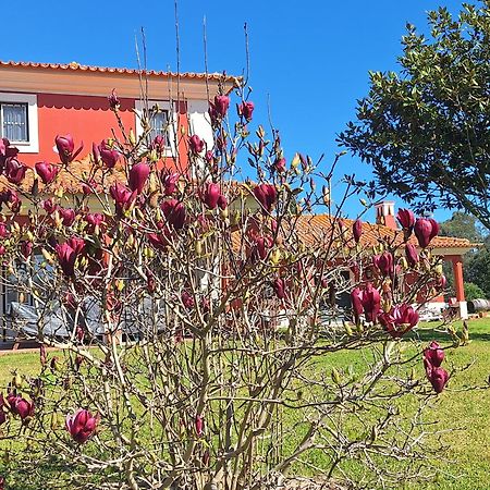 Casa da Ria - Turismo Rural Ilhavo Bagian luar foto
