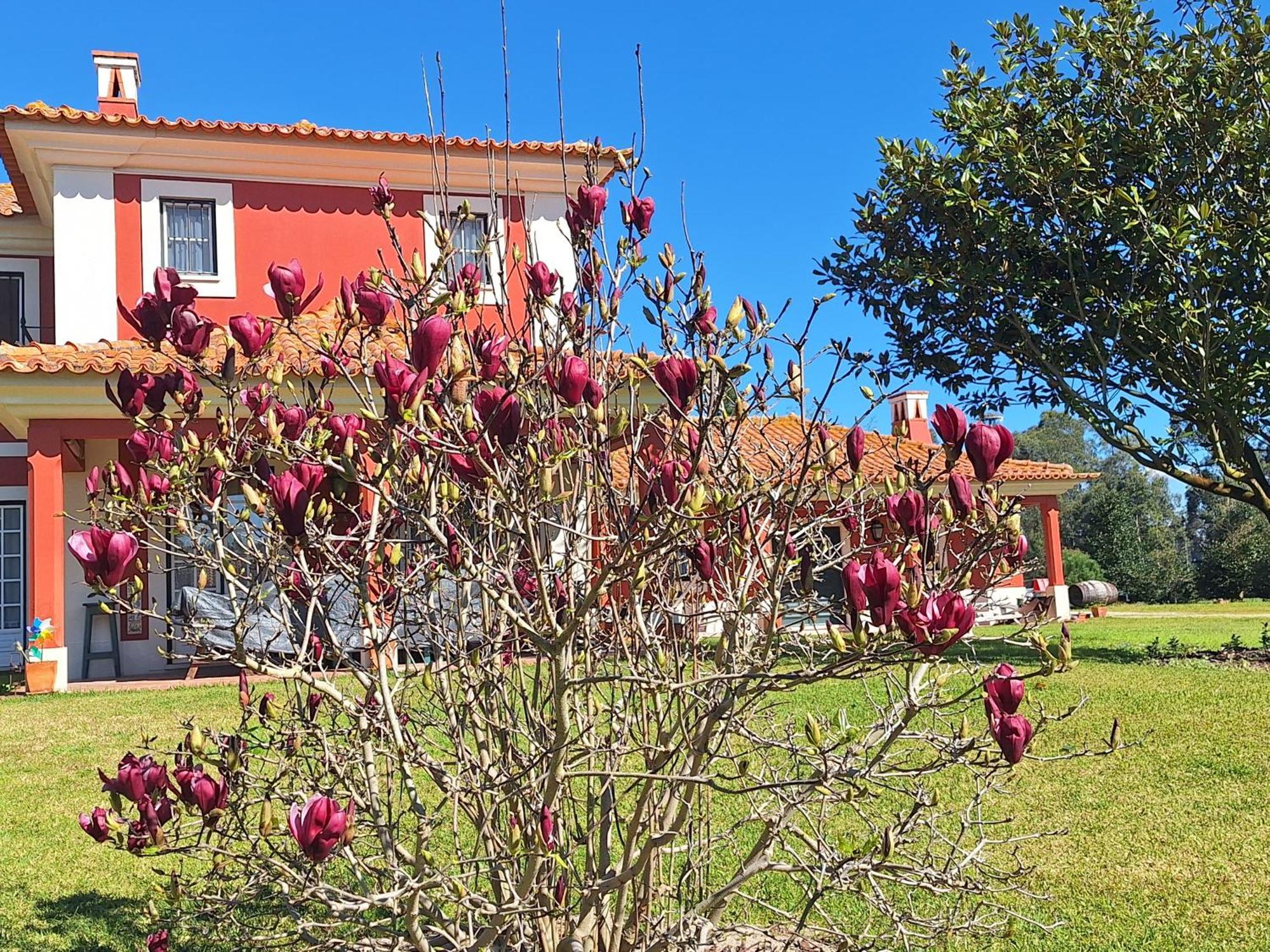 Casa da Ria - Turismo Rural Ilhavo Bagian luar foto