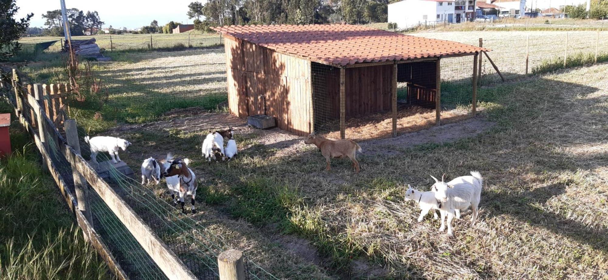 Casa da Ria - Turismo Rural Ilhavo Bagian luar foto